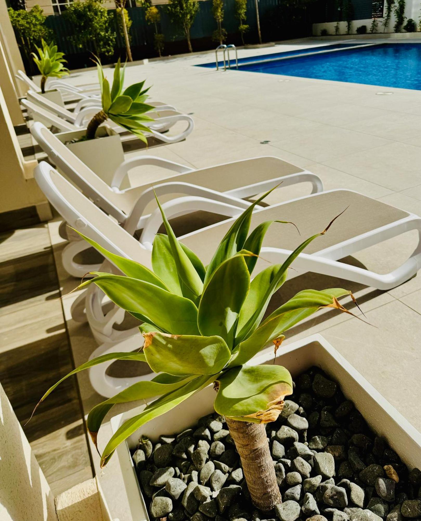 Calpe Beach II - Sea & Pool View Apartment Eksteriør bilde